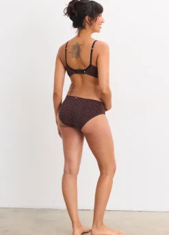 The Everyday Brief