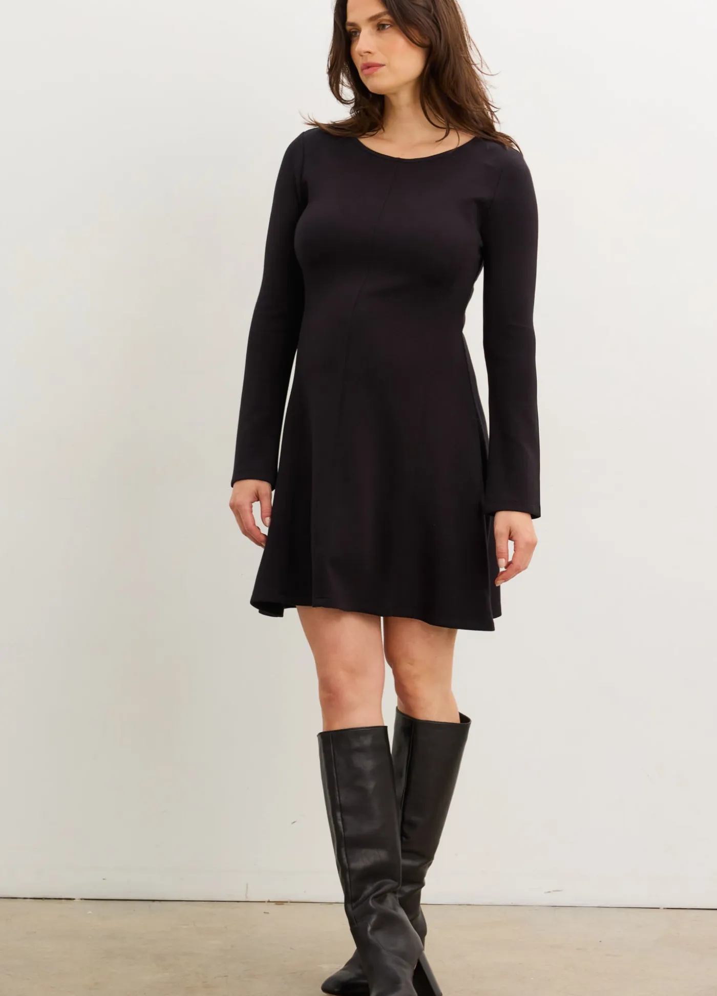 The Seamed Stretch Desk-To-Dinner Dress