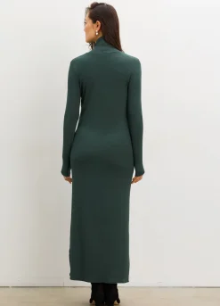 The Softest Rib Turtleneck Dress